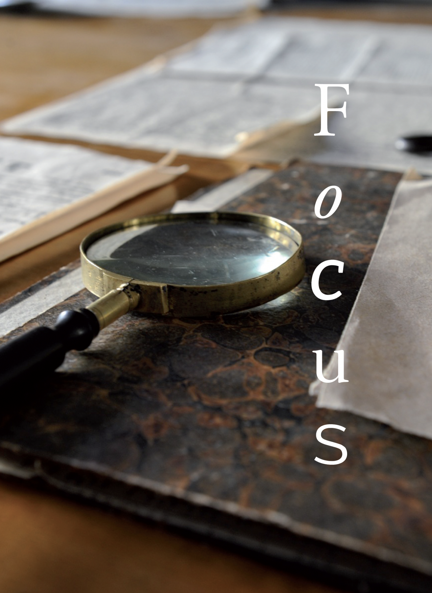 Focus. La Sentencia del Tribunal Supremo 339/2024, de 28 de febrero y